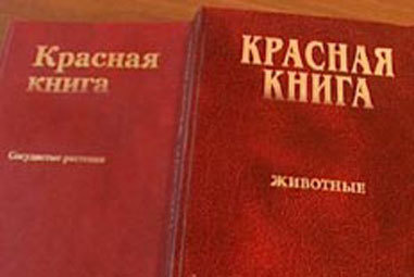Фото с сайта www.ekburg.ru