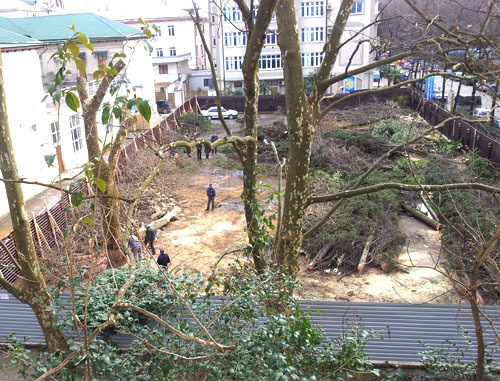 Все деревья в школьном центре по улице Конституции были спилены в ночь на 25 марта. Сочи, 25 марта 2012 г. Фото Гайка Чакряна для «Кавказского узла»
