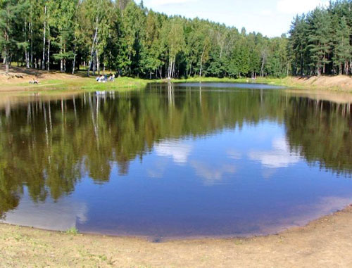 Водоем. Фото: информационное агентство "ФедералПресс", http://fedpress.ru/ Водоем. Фото: информационное агентство "ФедералПресс", http://fedpress.ru/