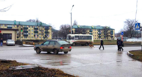 Грозный, Старопромысловский район. Фото Ахмеда Альдебирова для "Кавказского узла" Грозный, Старопромысловский район. Фото Ахмеда Альдебирова для "Кавказского узла"