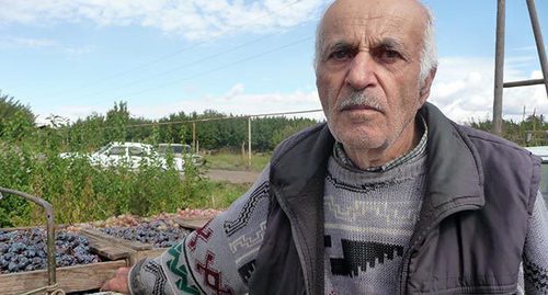 Урожай фермера села Кахцрашен. Армения, 15 октября 2015 г. Фото Армине Мартиросян для "Кавказского узла"