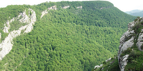 Окрестности Шуши, Карабах. Фото © Sputnik/ Arpi Beglaryan
 http://ru.armeniasputnik.am/karabah/20161122/5548175/stepanakert-zayavlyaet-o-40-narusheniyah-rezhima-peremiriya.html