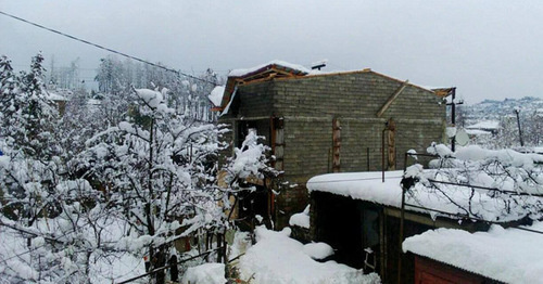 Cнегопад. Аджария. Фото: администрация Кобулети Cнегопад. Аджария. Фото: администрация Кобулети