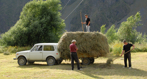 Сенокос в Грузии. Фото © Sputnik/
https://sputnik-georgia.ru/georgia/20120412/214910582.html