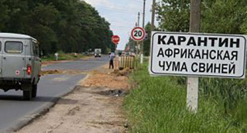 Табличка с предупреждением об АЧС на дороге. Фото http://piginfo.ru/news/?SECTION_ID=&ELEMENT_ID=13216 Табличка с предупреждением об АЧС на дороге. Фото http://piginfo.ru/news/?SECTION_ID=&ELEMENT_ID=13216
