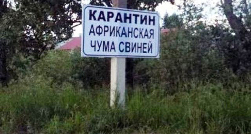 Табличка "Карантин по АЧС" Фото http://www.vluki.ru/news/2015/10/13/385447.html Табличка "Карантин по АЧС" Фото http://www.vluki.ru/news/2015/10/13/385447.html