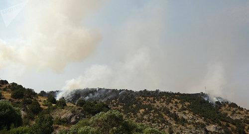 Пожар в Артаване. Фото © Sputnik/ Karen Yepremyan
https://ru.armeniasputnik.am/incidents/20170812/8242912/iz-iskry-vozgorelos-plamya-izvestny-prichiny-pozhara-v-vajoc-dzore.html