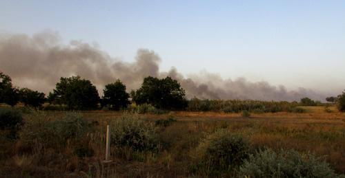 Пожар в Волго-Ахтубинской пойме Ахтубинского района Астраханской области. Горит сухая трава и тростник. Фото Вячеслава Ященко для "Кавказского узла"
