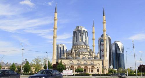 Грозный. Фото Магомеда Магомедова для "Кавказского узла" Грозный. Фото Магомеда Магомедова для "Кавказского узла"