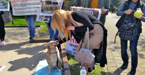 Митинг зоозащитников. Сочи, апрель 2018 г. Фото Светланы Кравченко для "Кавказского узла" Митинг зоозащитников. Сочи, апрель 2018 г. Фото Светланы Кравченко для "Кавказского узла"