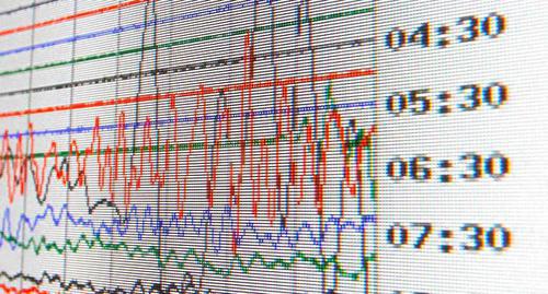 Показания сейсмографа. Фото REUTERS:
David Moir