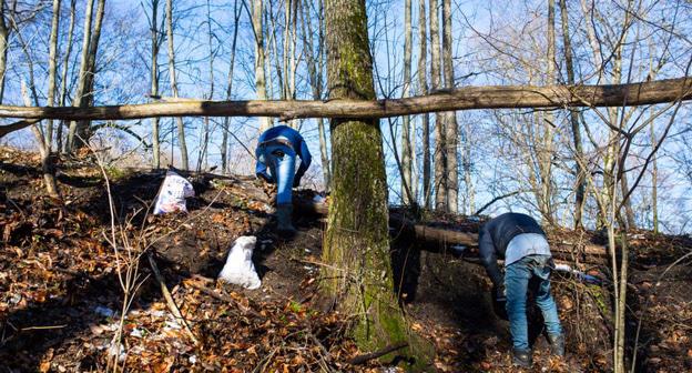 Сбор черемши. Фото: Radio Marsho (RFE/RL)