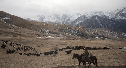 Северная Осетия. Фото: REUTERS/Kazbek Basayev Северная Осетия. Фото: REUTERS/Kazbek Basayev