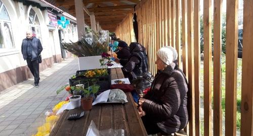 Торговцы в социальном ряду на рынке в Сочи. Фото Светланы Кравченко для "Кавказского узла", Торговцы в социальном ряду на рынке в Сочи. Фото Светланы Кравченко для "Кавказского узла",