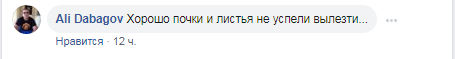 Комментарий пользователя Ali Dabagov в соцсети Facebook https://www.facebook.com/groups/ROD07/permalink/2148748225218684/ Комментарий пользователя Ali Dabagov в соцсети Facebook https://www.facebook.com/groups/ROD07/permalink/2148748225218684/