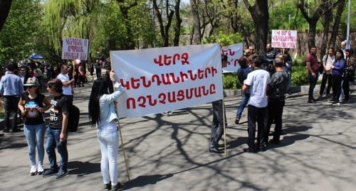 Участники акции протеста против директора зоопарка в Ереване. Фото: Армине Мартиросян для "Кавказского узла". Участники акции протеста против директора зоопарка в Ереване. Фото: Армине Мартиросян для "Кавказского узла".
