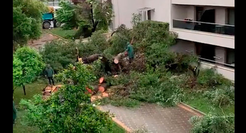 Последствия грозы на полуострове Халкидики. Фото: кадр видео Татьяна Сидоренко https://www.youtube.com/watch?v=KmelYgkB8pc Последствия грозы на полуострове Халкидики. Фото: кадр видео Татьяна Сидоренко https://www.youtube.com/watch?v=KmelYgkB8pc