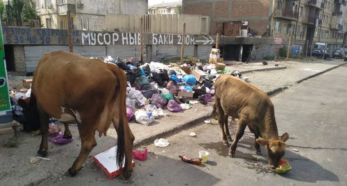 Махачкала, 2019 год. Предоставлено "Кавказскому узлу", автор пожелал не указывать свое имя. Махачкала, 2019 год. Предоставлено "Кавказскому узлу", автор пожелал не указывать свое имя.