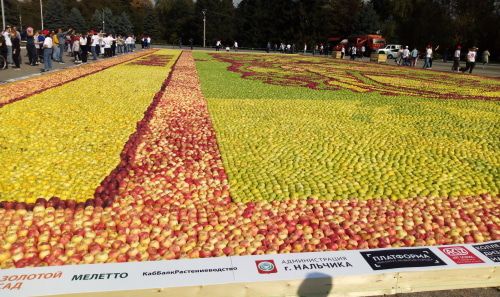 Яблочное пано. Фото Людмилы Маратовой для "Кавказского узла",