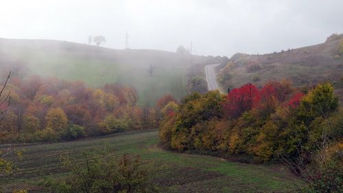 Нагорный Карабах. 1 ноября 2019 год. Фото Алвард Григорян для "Кавказского узла" Нагорный Карабах. 1 ноября 2019 год. Фото Алвард Григорян для "Кавказского узла"