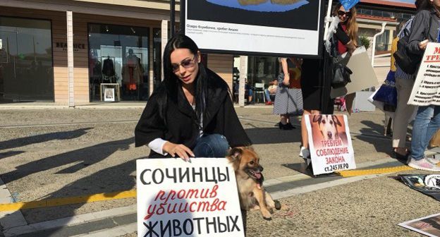 Участница акции зоозащитников в Сочи. Фото Светланы Кравченко для "Кавказского узла".