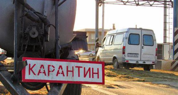 Карантинный пункт АЧС. Фото Вячеслава Ященко для "Кавказского узла"