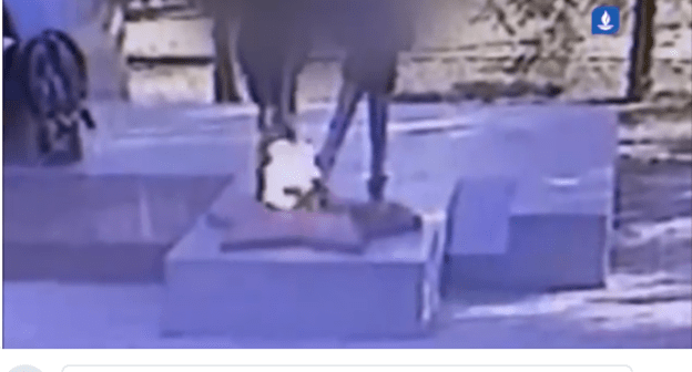 Скриншот кадра из видео "ВКонтакте" https://vk.com/wall-81415071_15437?fbclid=IwAR27uovmoyqkjsR2Umh_ZHHGBoIQNvN90C5_WB3FE1zhgDIWpBPp7_Uu5AU&z=video-81415071_456240162%2F8c45523c599710c2df%2Fpl_post_-81415071_15437