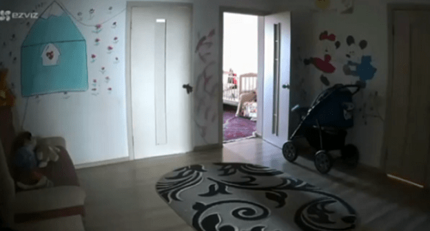 Помещение приюта "Теплый дом на горе". Кадр видео в Instagram организации https://www.instagram.com/p/B4DXUf_B5N8/
