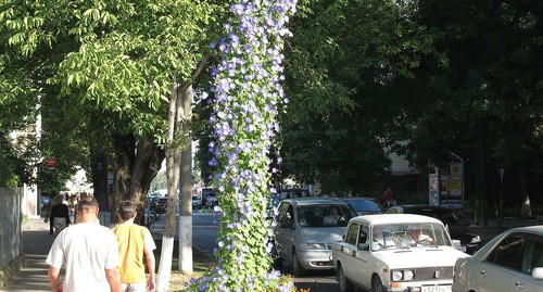 Анапа, Краснодарский Край, Россия. Фото Юрий-менькович https://commons.wikimedia.org/wiki/Category:Anapa Анапа, Краснодарский Край, Россия. Фото Юрий-менькович https://commons.wikimedia.org/wiki/Category:Anapa