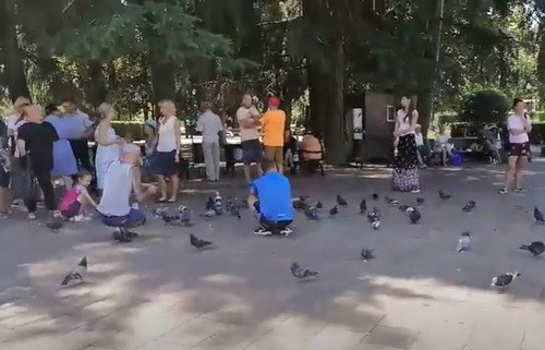 Акция "кормления голубей" в поддержку жителей Хабаровска в Сочи. Фото Светланы Кравченко для "Кавказского узла" Акция "кормления голубей" в поддержку жителей Хабаровска в Сочи. Фото Светланы Кравченко для "Кавказского узла"