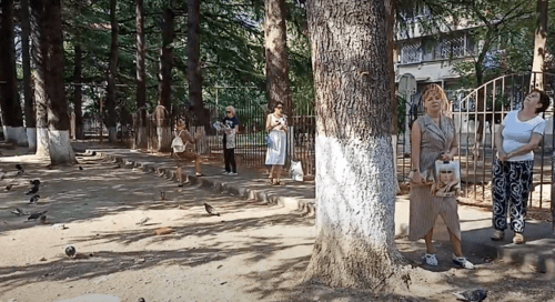 Сквер в Центральном районе Сочи. Фото Светланы Кравченко для "Кавказского узла". Сквер в Центральном районе Сочи. Фото Светланы Кравченко для "Кавказского узла".