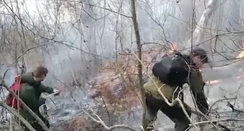 Ликвидация пожара в в Сочинском нацпарке 03.01.21. Кадр видео TVC https://www.tvc.ru/news/show/id/201036/ Ликвидация пожара в в Сочинском нацпарке 03.01.21. Кадр видео TVC https://www.tvc.ru/news/show/id/201036/