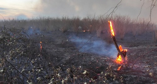 Ландшафтный пожар. Фото: пресс-служба МЧС Абхазии https://mchsra.info/ Ландшафтный пожар. Фото: пресс-служба МЧС Абхазии https://mchsra.info/