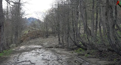Оползень перекрыл дорогу и загрязнил озеро Рица. Кадр видео
Аҧсуа телехәаҧшра https://www.youtube.com/watch?v=twCrYxEvH_0 Оползень перекрыл дорогу и загрязнил озеро Рица. Кадр видео
Аҧсуа телехәаҧшра https://www.youtube.com/watch?v=twCrYxEvH_0