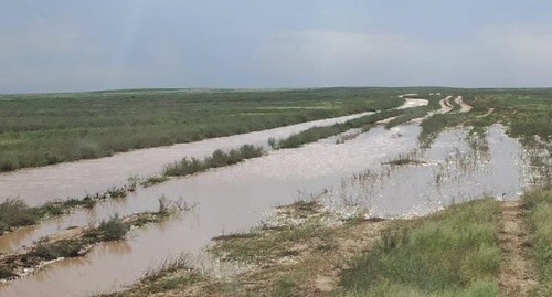 Участки пустыни в поселке Бергин Юстинского района Калмыкии после посадки джузгуна. 6 июля. Фото Баиры Цыгаменко для "Кавказского узла". Участки пустыни в поселке Бергин Юстинского района Калмыкии после посадки джузгуна. 6 июля. Фото Баиры Цыгаменко для "Кавказского узла".