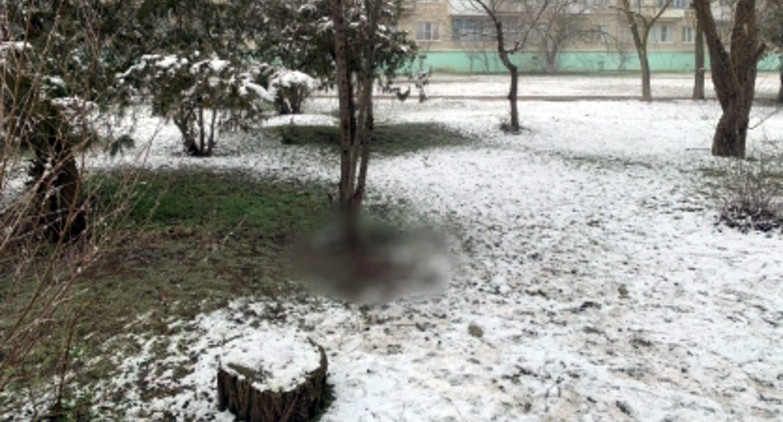 Место обнаружения новорожденной девочки найдено в земле неподалеку от гостиницы в Нефтекумске . Фото пресс-службы СКР Ставрополя stavropol.sledcom.ru Место обнаружения новорожденной девочки найдено в земле неподалеку от гостиницы в Нефтекумске . Фото пресс-службы СКР Ставрополя stavropol.sledcom.ru