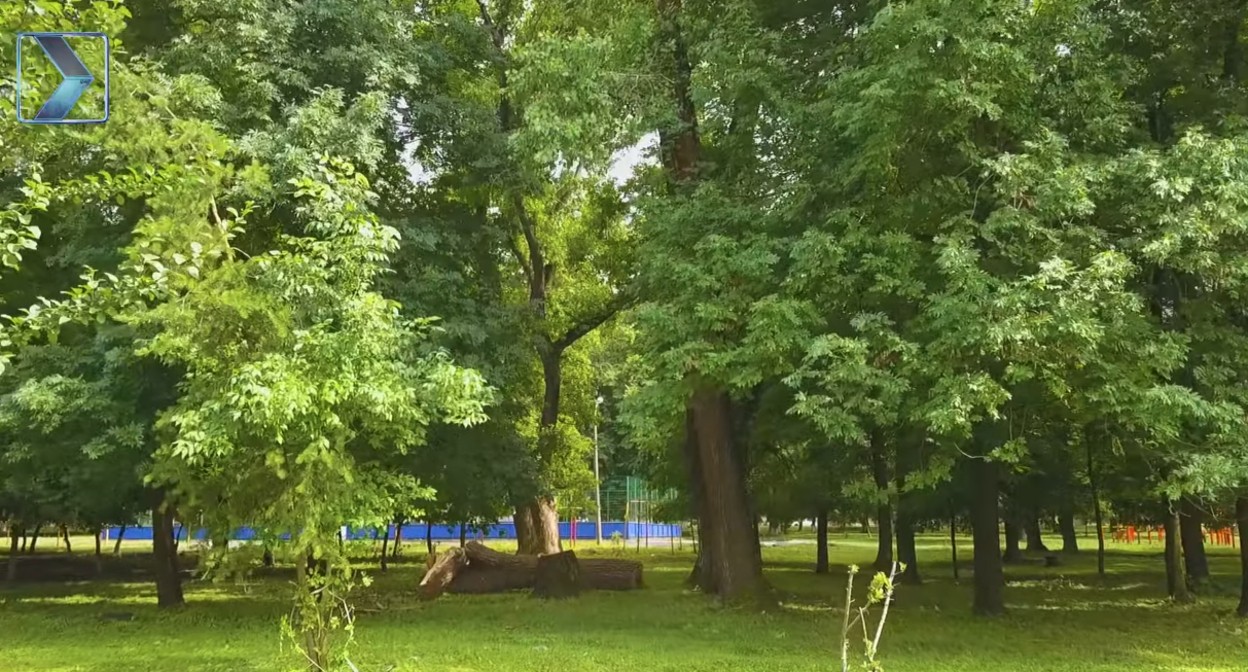 Место трагедии, на котором произошло падение дерева на ребенка. Кадр видео
КРЫЛЬЯ TV https://www.youtube.com/watch?v=7FanREiSzBc Место трагедии, на котором произошло падение дерева на ребенка. Кадр видео
КРЫЛЬЯ TV https://www.youtube.com/watch?v=7FanREiSzBc