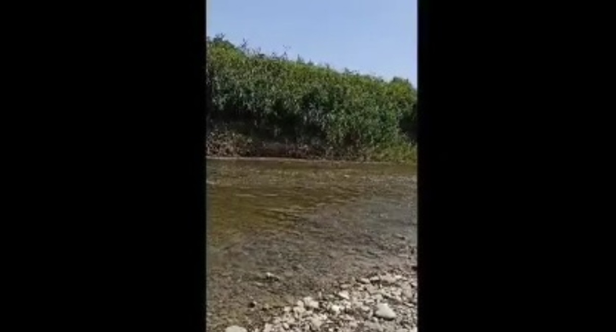 Река Сунжа. Скриншот с видео, https://t.me/fortangaorg/13301 Река Сунжа. Скриншот с видео, https://t.me/fortangaorg/13301