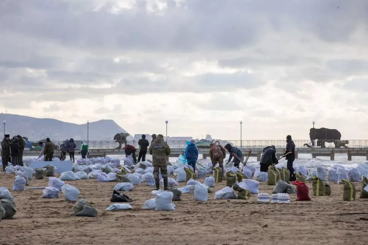 Уборка мазута на пляжах Анапы. Фото: Telegram_канал: мэрия Анапы