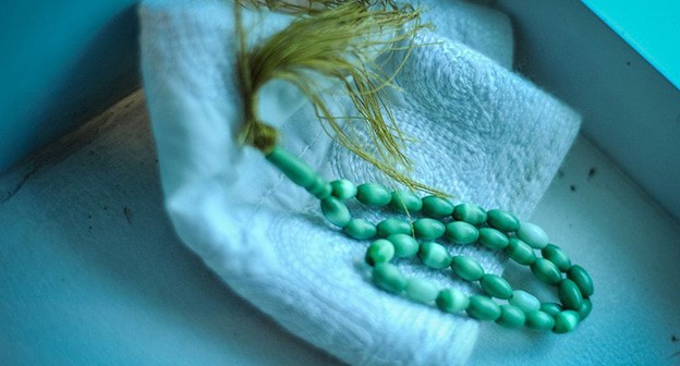 Четки. Фото Нины Зотиной, "Юга.ру"