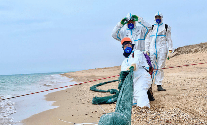 Замена сетей на Бугазской косе. Скриншот фото из Telegram-канала оперштаба Краснодарского края от 30.03.25, https://t.me/opershtab23/13022.