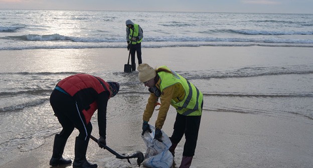 Уборка мазута с пляжей в Анапе. Фото Полины Безверхой, "Юга.ру"