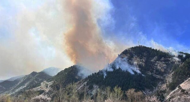 Ландшафтный пожар в Левашинском районе Дагестана. 7 апреля 2025 г. Фото: администрация Акушинского района Дагестана