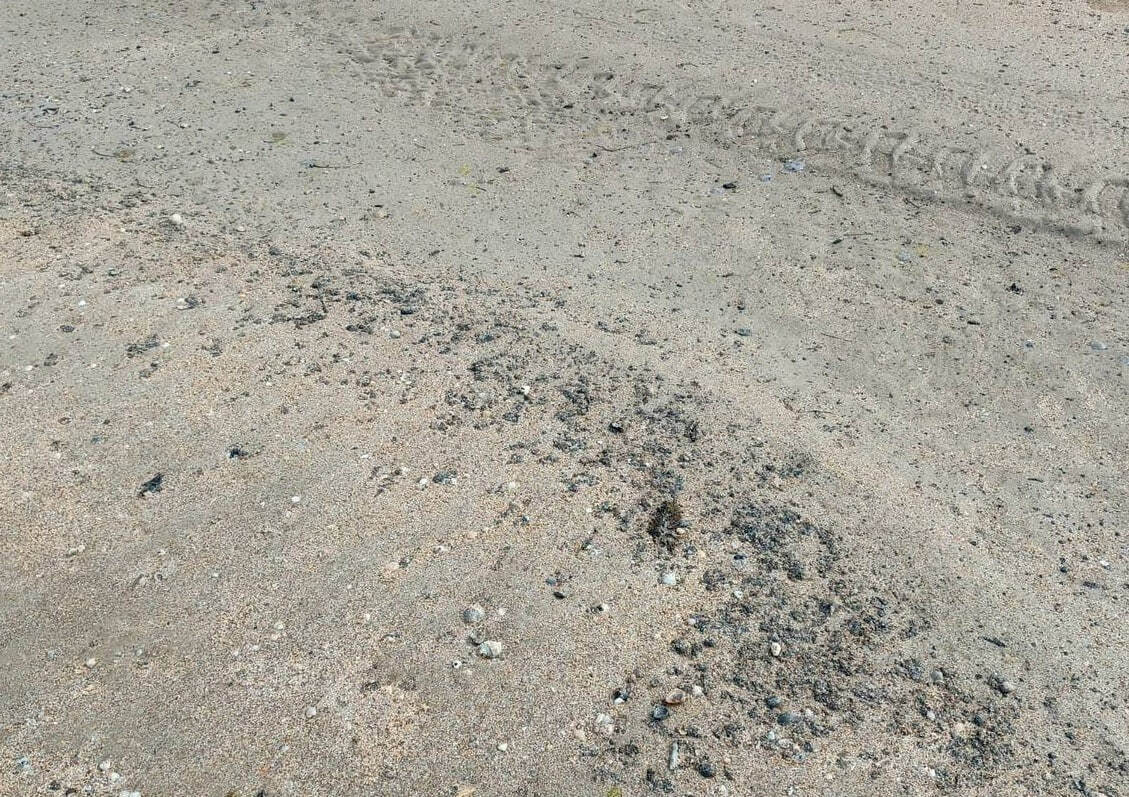 Очистка пляжей Анапы. Фото: https://t.me/opershtab23/13178