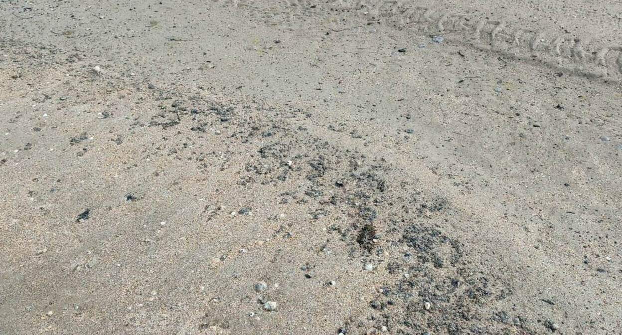 Очистка пляжей Анапы. Фото: https://t.me/opershtab23/13178