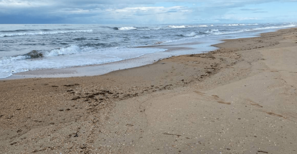 Берег моря между Витязево и Благовещенской. Скриншот фото из Telegram-канала оперштаба Краснодарского края от 13.04.25, https://t.me/opershtab23/13222