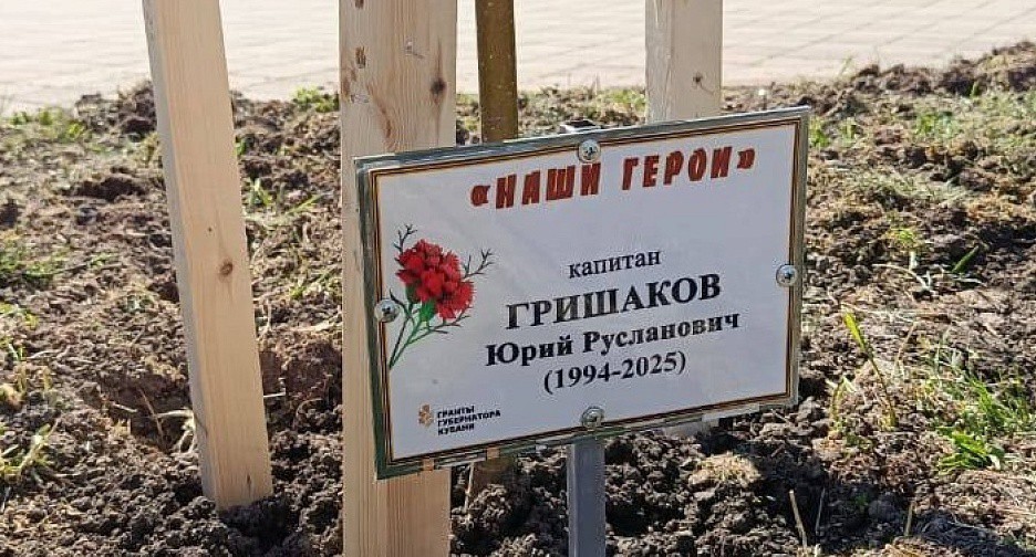 Табличка с именем убитого военного в краснодарском парке. Фото: пресс-служба администрации Краснодара 