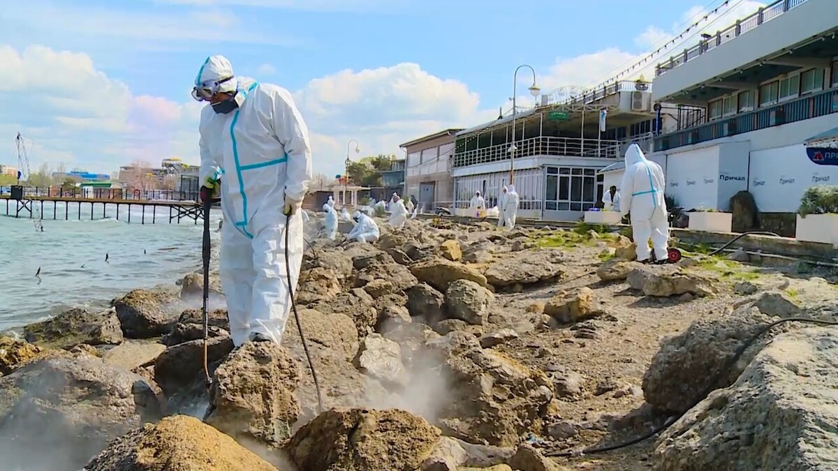Очистка берега в Анапе. Скриншот видео @opershtab23