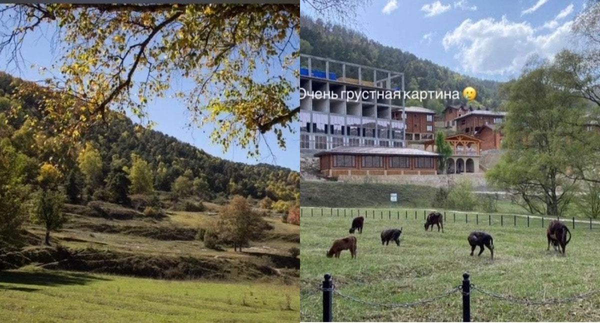 Застройка лесного участка в Верхнем Гунибе. Кадры публикации Аминат Абдурахмановой / Instagram