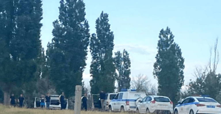 Силовики у лесополосы. Скриншот фото из Telegram-канала "Жесть. Камышин" от 08.06.25, https://t.me/zhestkamyshin/18897